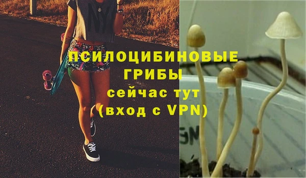 jwh Алзамай
