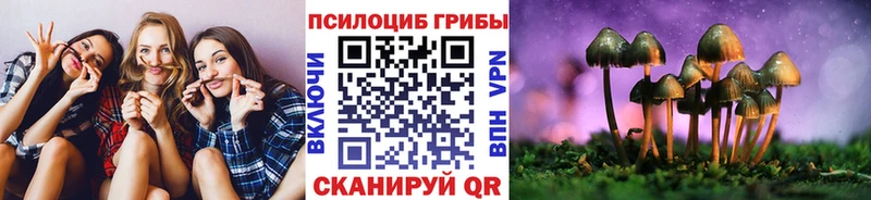 Галлюциногенные грибы мухоморы Куртамыш